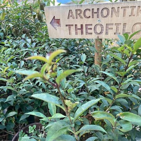 Αrchontiko Theofilou Apartment เทสซาโลนิกิ ภายนอก รูปภาพ