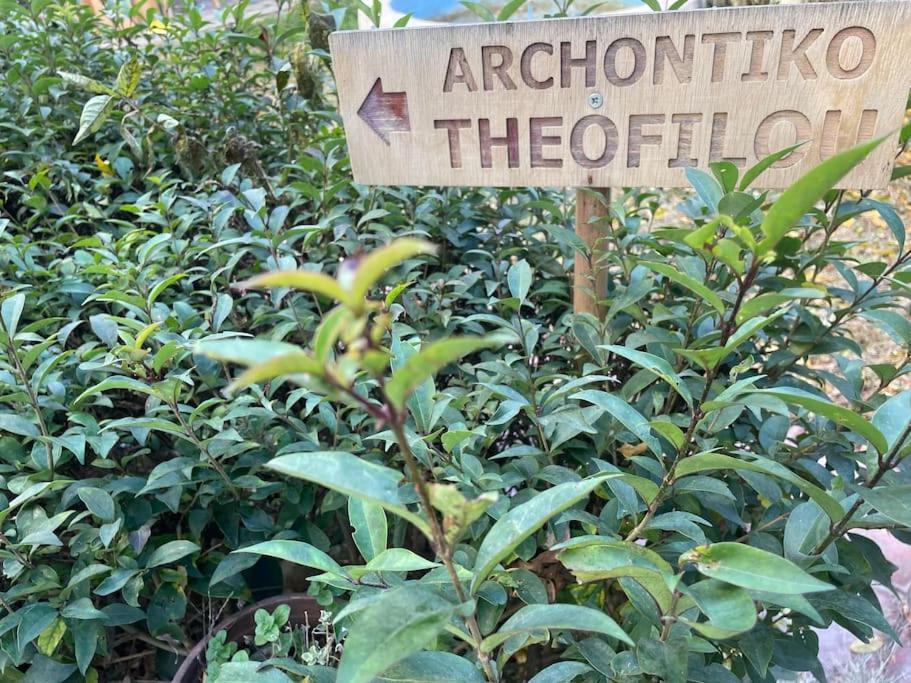Αrchontiko Theofilou Apartment เทสซาโลนิกิ ภายนอก รูปภาพ
